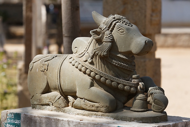 Hampi-Palais du lotus-041